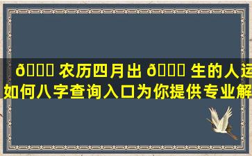🐈 农历四月出 💐 生的人运势如何八字查询入口为你提供专业解答！